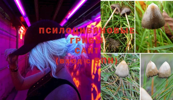 a pvp Абаза