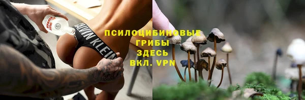 СК Абинск